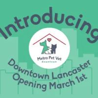 Metro Pet Vet downtown ico