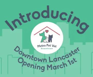 Metro Pet Vet downtown