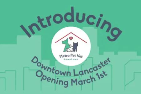 Metro Pet Vet downtown