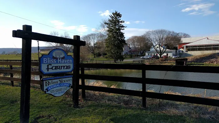 Bliss Haven Animal Clinic 6