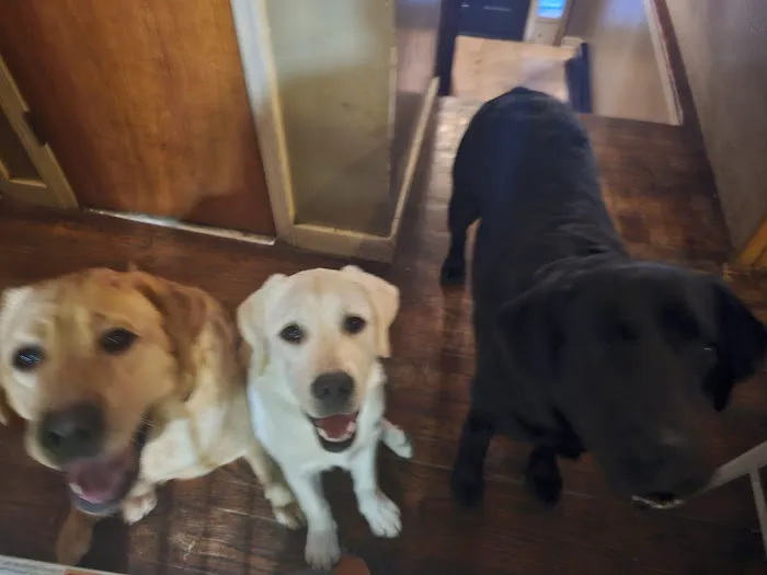 Brunswick Veterinary Hospital 3