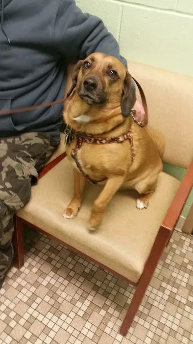 Brunswick Veterinary Hospital 7