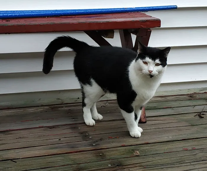 Brunswick Veterinary Hospital 5