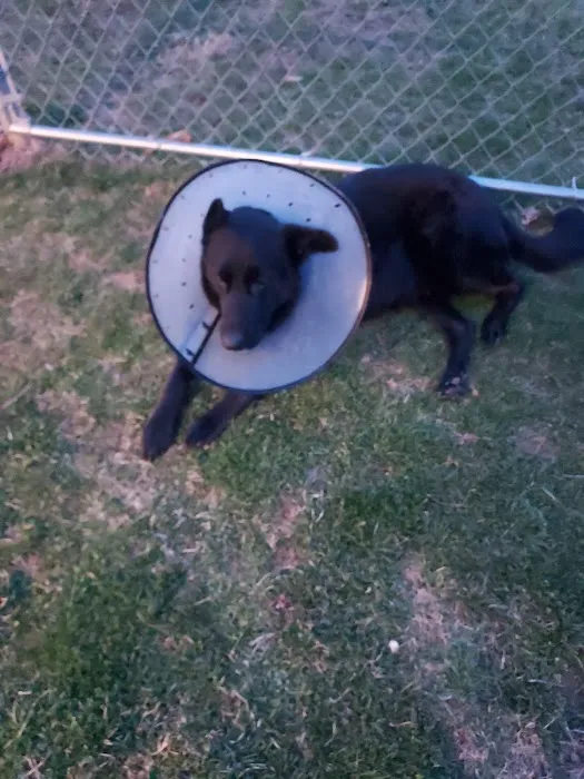 Blue Mountain Animal Hospital 2