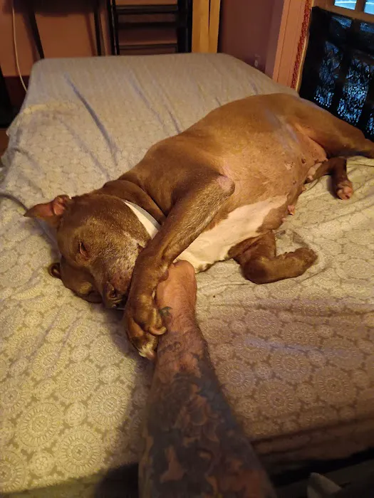 St. Francis Animal Clinic 2