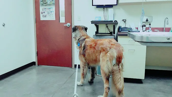 Ringtown Valley Veterinary Hospital 1