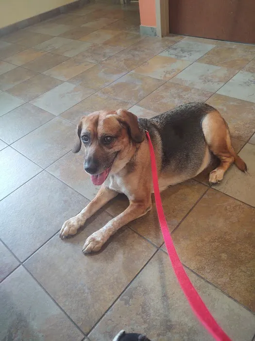 Ringtown Valley Veterinary Hospital 2