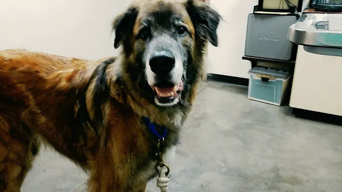 Ringtown Valley Veterinary Hospital 3