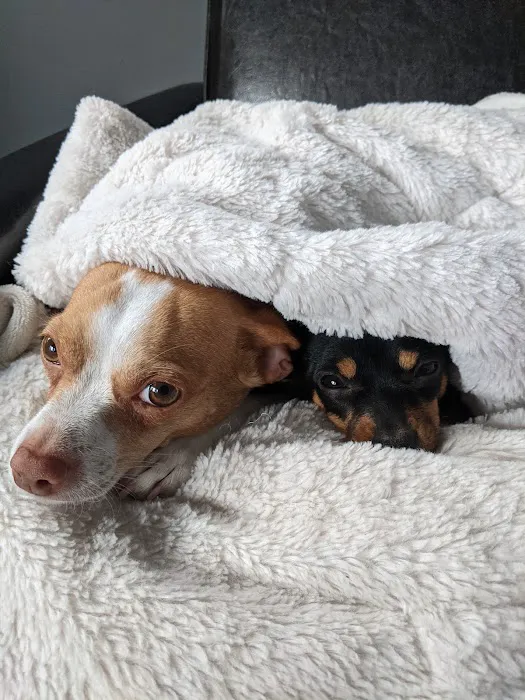 Animal Care Center 8