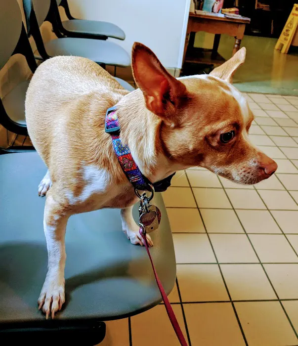 Animal Care Center 5