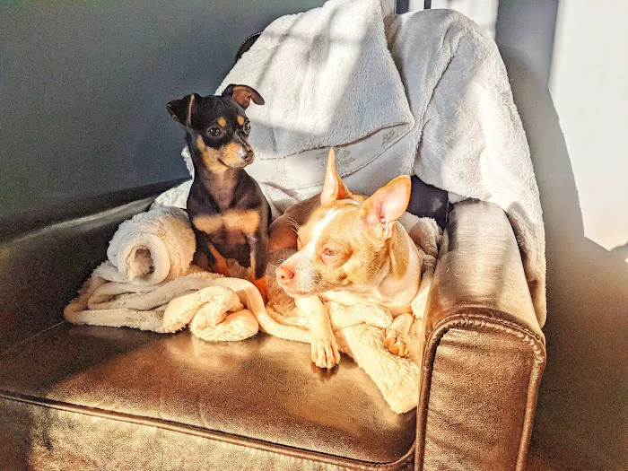 Animal Care Center 4