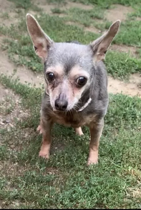 Sunbury Animal Hospital 6