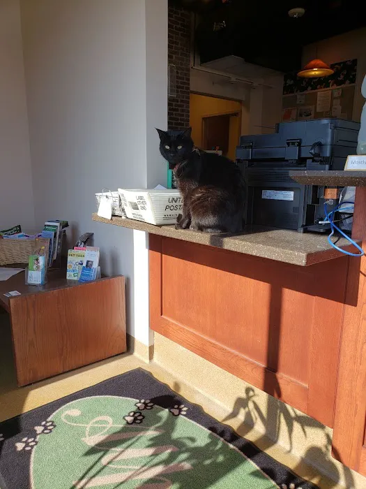 Alpine Animal Clinic 7