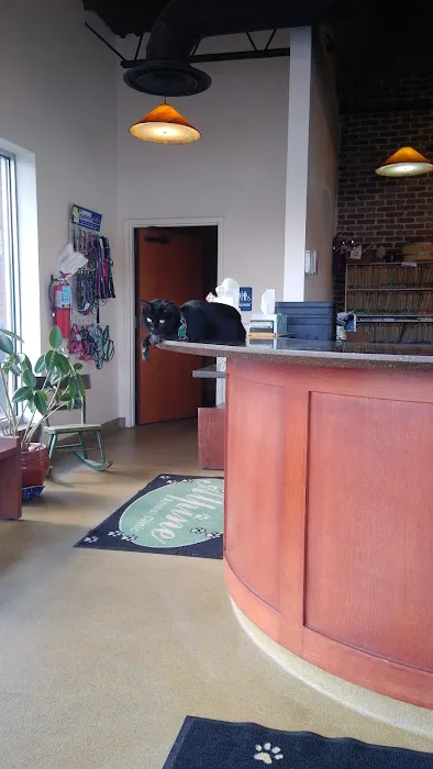 Alpine Animal Clinic 5