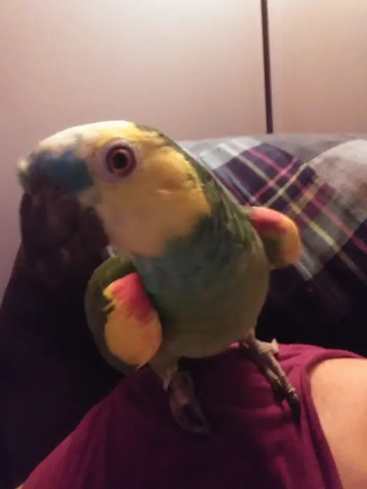 Alpine Animal Clinic 2