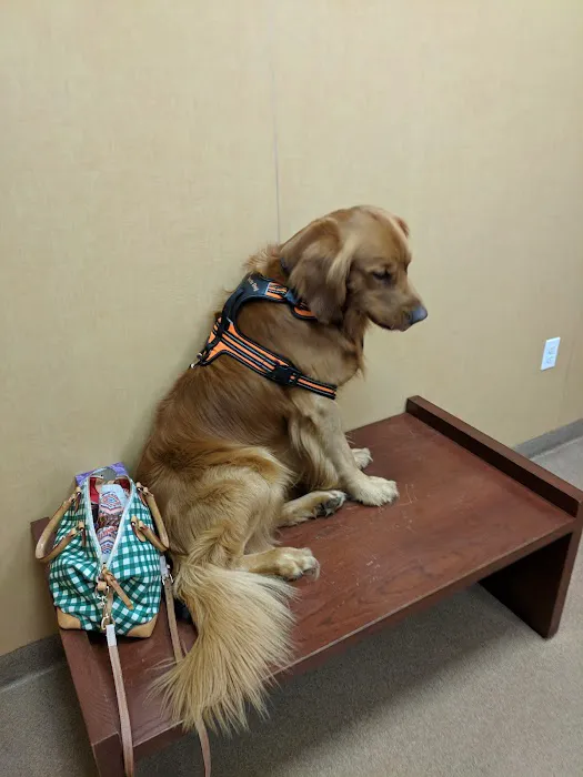 Alpine Animal Clinic 6
