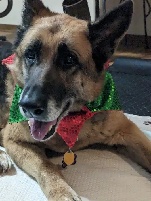 VCA Saukville Animal Hospital 5