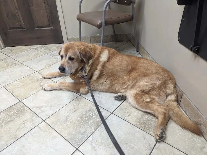 VCA Saukville Animal Hospital 7