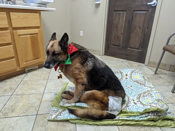 VCA Saukville Animal Hospital 1