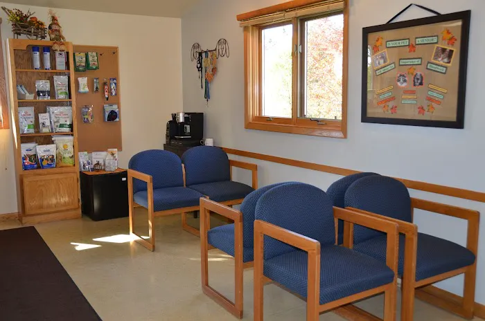 The Little Animal Hospital 4