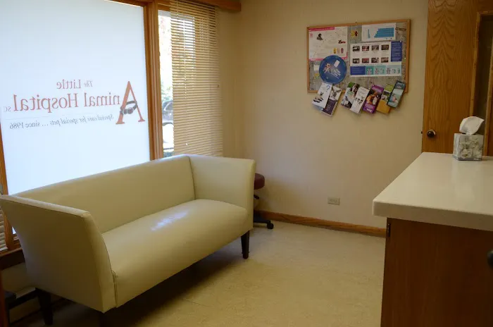 The Little Animal Hospital 6