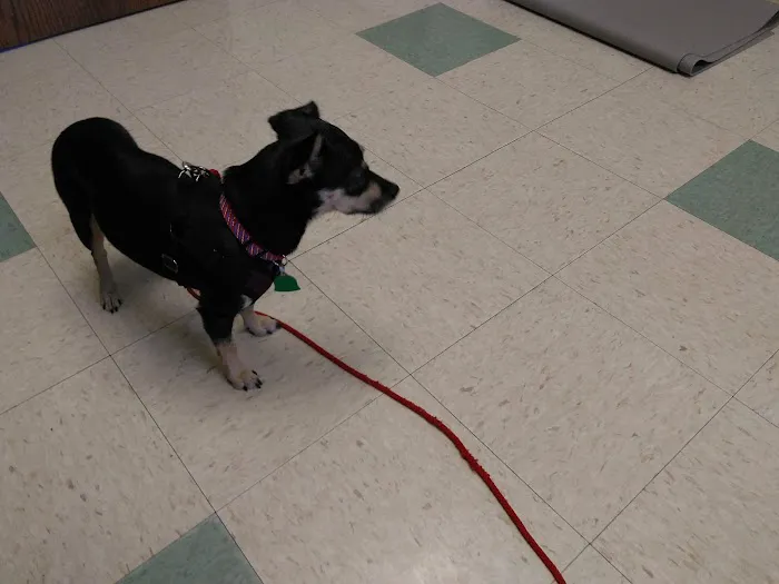 Fredonia Veterinary Clinic 5