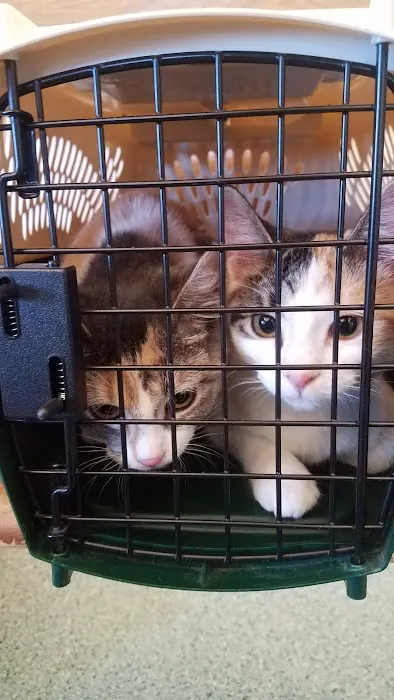 Fredonia Veterinary Clinic 1