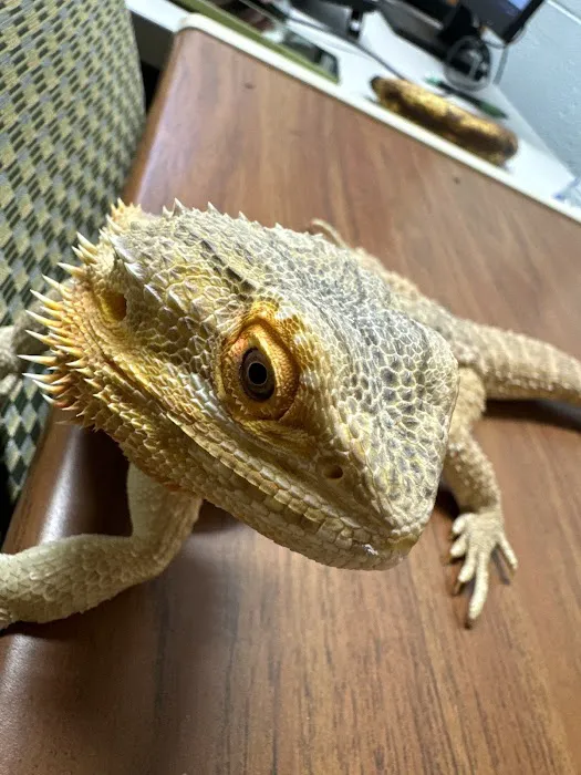 Auburn Animal Clinic 2