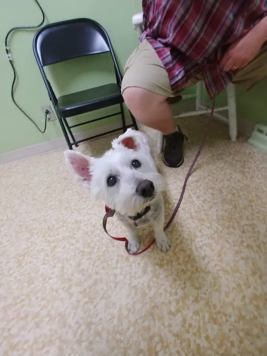 Auburn Animal Clinic 6
