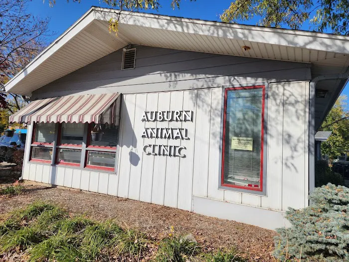 Auburn Animal Clinic 10