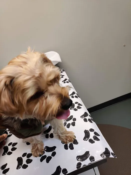 Noah's Ark Animal Clinic 4