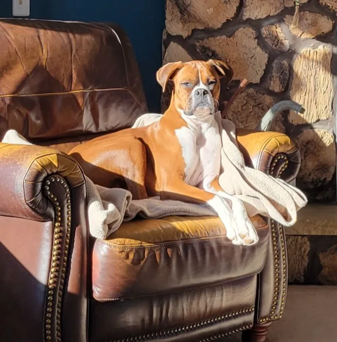Columbus Countryside Veterinary Clinic 12