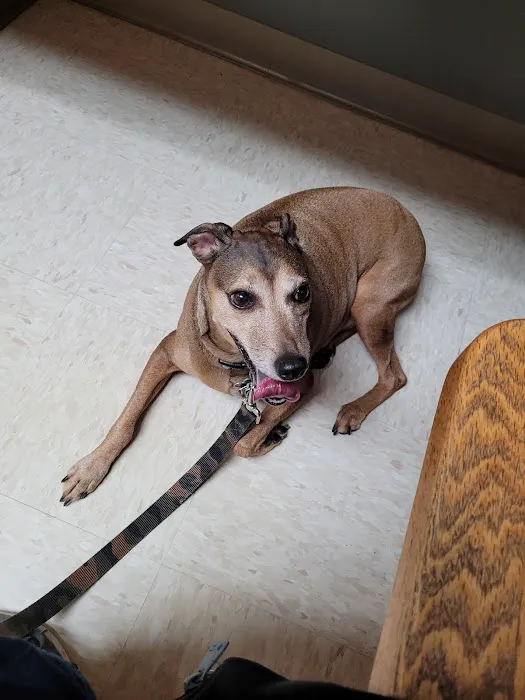 Columbus Countryside Veterinary Clinic 12