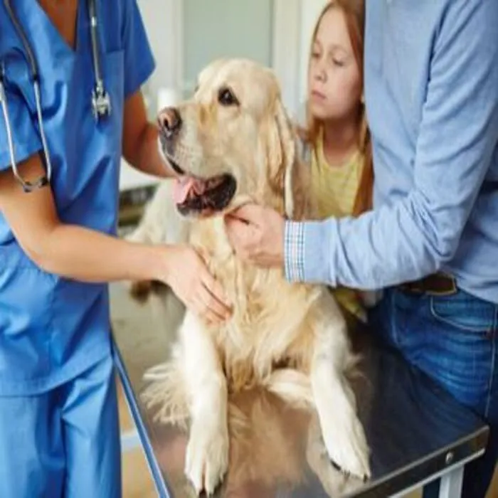 Beaver Dam Veterinary Clinic 12