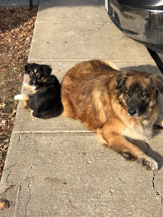 Beaver Dam Veterinary Clinic 12