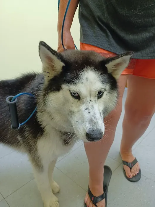 Beaver Dam Veterinary Clinic 12