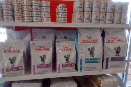 Wyllow Pet Hospital