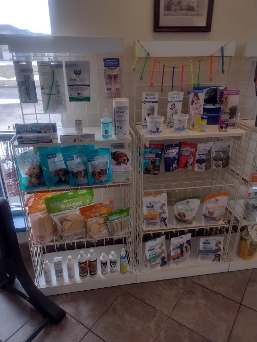 Wyllow Pet Hospital 12