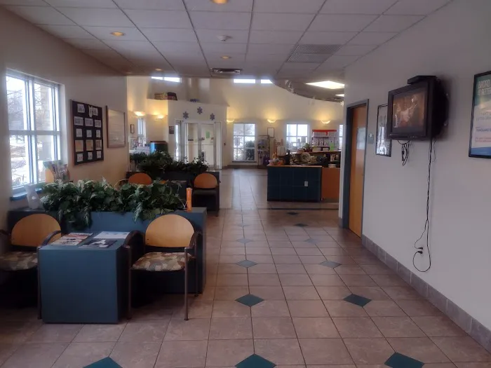 Wyllow Pet Hospital 12