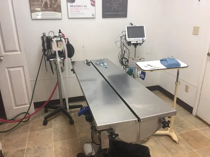Ashton Animal Clinic 9