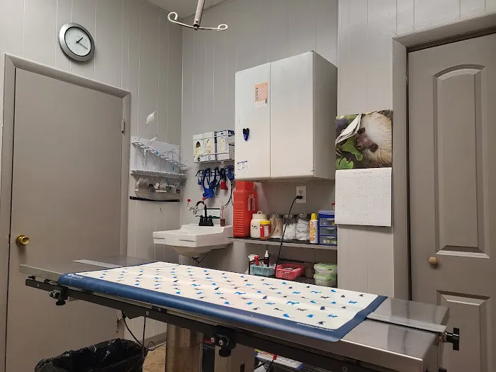 Ashton Animal Clinic 2
