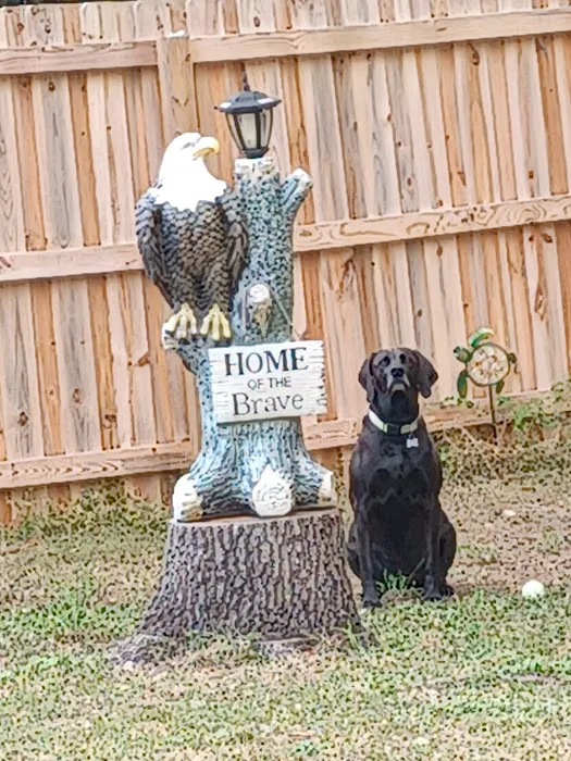 Blackhawk Veterinary Services, Ltd. 2