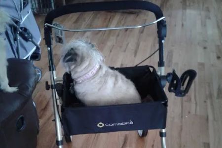 Blackhawk Veterinary Services, Ltd.