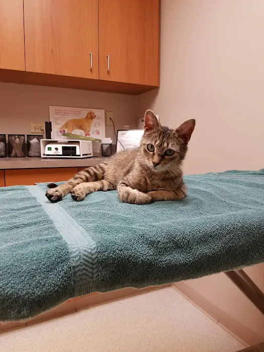 Pines Meadow Veterinary Clinic 1