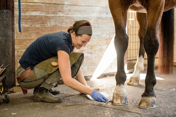 Marion duPont Scott Equine Medical Center 2