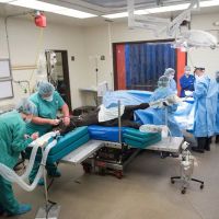 Marion duPont Scott Equine Medical Center ico