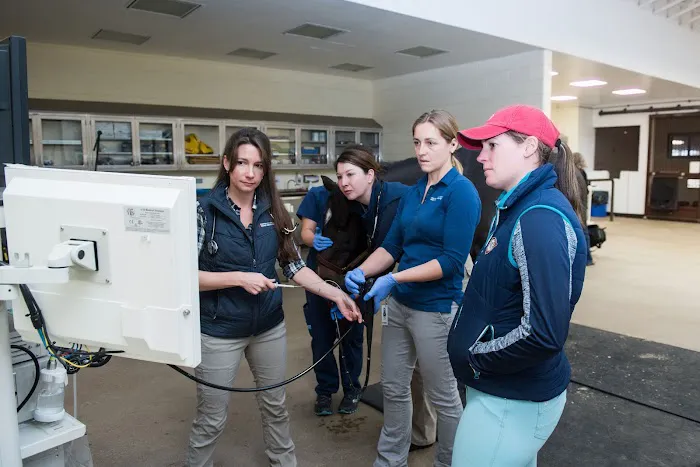 Marion duPont Scott Equine Medical Center 5