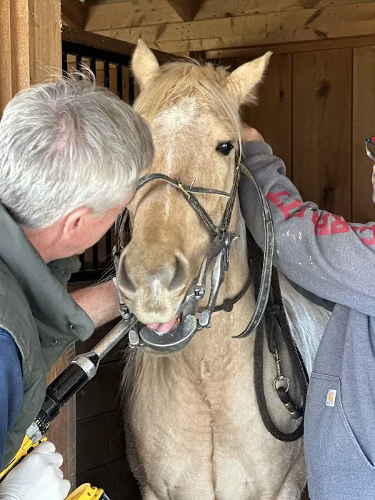 Rose Hill Veterinary Practice 12