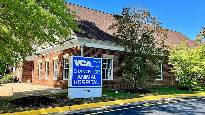 VCA Chancellor Animal Hospital 12