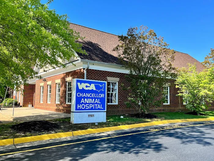 VCA Chancellor Animal Hospital 12
